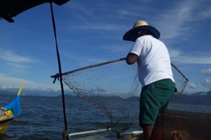 Pesca volta a ser liberada no Paraná com o fim da piracema