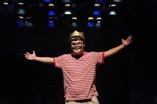 Hamlet. Foto: Teatro la Plaza